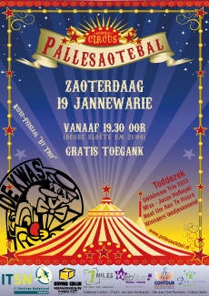 Pallesaotebal 2013